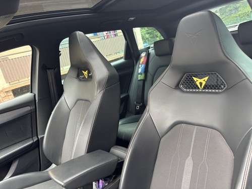 Cupra sitzt gitter - sitzt,